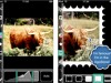 iPhone 軟件介紹：Photogene 簡易照片編輯器