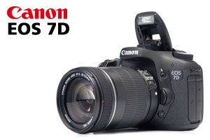 APS-C 全力加速︰Canon EOS 7D 詳細測試報告