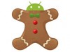 最新 Android 3.0 Gingerbread「薑餅」系統消息流出