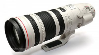 Canon EF 200-400mm f/4L IS USM Extender 1.4x 樣本照片上載完成