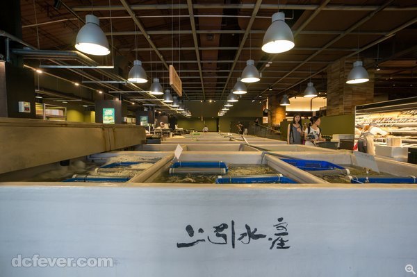 入口處是廣大的室內魚場，閣下可以在此先買鮮魚交由廚師處理，保證新鮮。 (11mm、ISO 800、f/7.1、1/15s)
