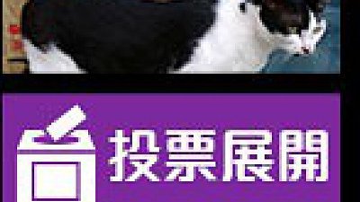 投票都有獎！ NOKIA「港 ‧ 故事」手機攝影比賽投票考眼光