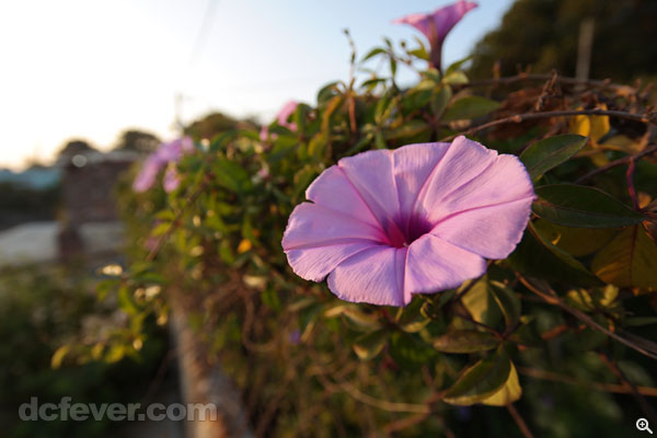 12mm、f/4、1/160s、ISO 100