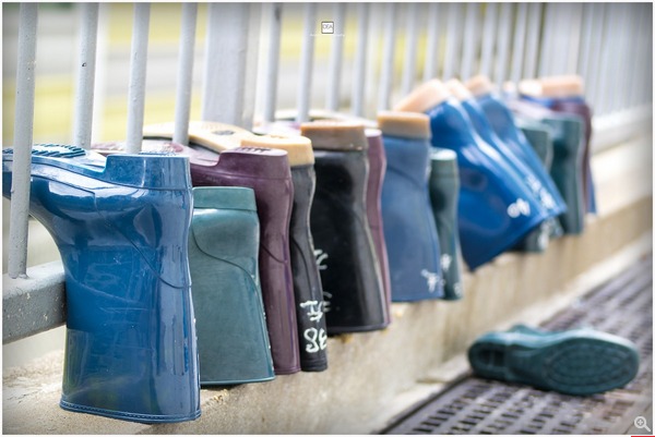 拍攝設定:60mm、ISO100、f/2.8、1/250s 使用 Samsung SMART CAMERA NX30 拍攝