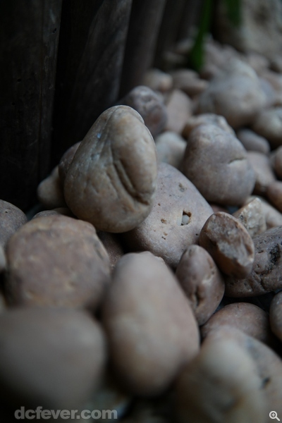 50mm、f/2.8、1/400s、ISO 400