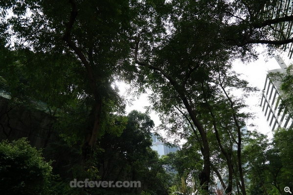 16mm、f/2.2、1/800s、ISO 100