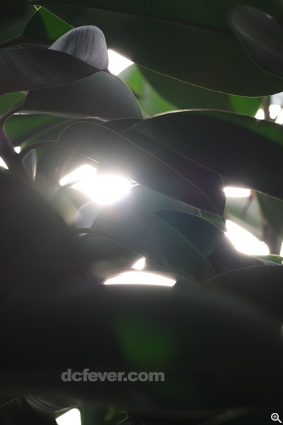 200mm、f/5.6、1/200s、ISO 200