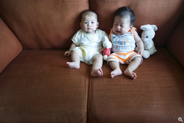 拍攝設定:24mm、ISO800、f/3.5、1/30s