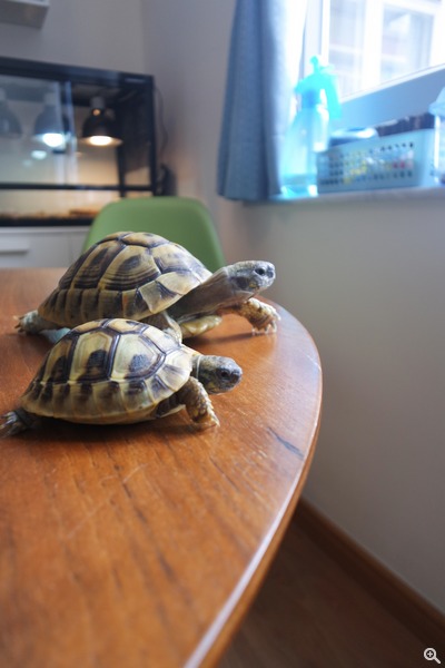 拍攝設定:24mm、ISO200、f/3.5、1/30s