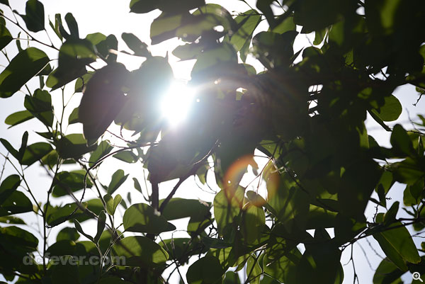 200mm、f/4.0