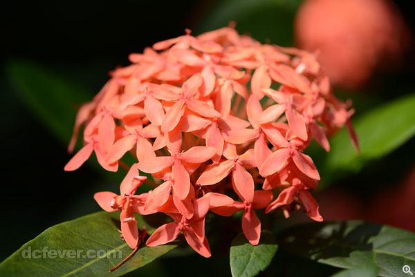 ISO 100、f/6.3、1/400s