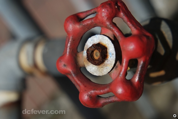 鏡頭在最遠攝端能夠以 0.24m 距離進行對焦，散景也相當自然。