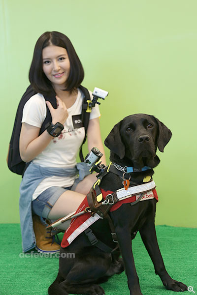 原來香港導盲犬服務中心正利用 Sony Action Cam 拍下狗隻在街上面對不同事物的反應，好讓培訓時有理可依。