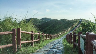 【Fillens 投稿精選】行山隨影