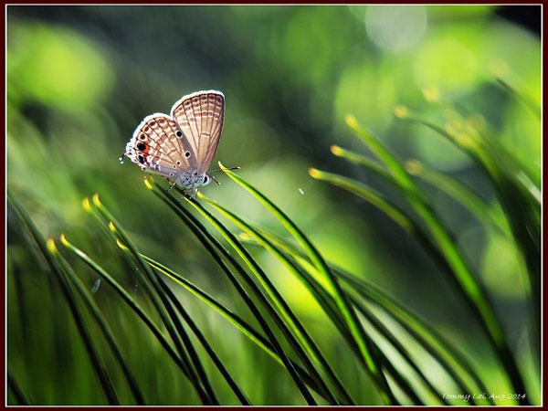 http://www.dcfever.com/photosharing/view.php?u=280259&id=1448445
