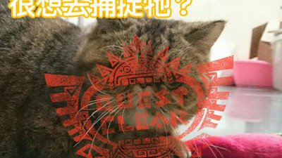 發現獵物！Monster Hunter 4G 相機 App「芒亨」迷必裝！