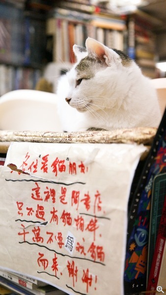 拍攝設定:35mm、ISO 3200、f/2.8、1/1000s