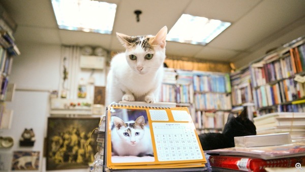 拍攝設定:16mm、ISO 3200、f/2.2、1/1000s