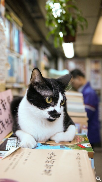 拍攝設定:26mm、ISO 3200、f/2.5、1/1000s