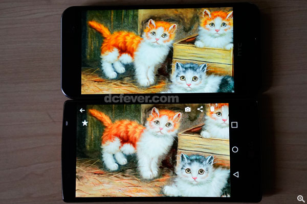 畫中的小貓，HTC One Me Dual Sim 顯示效果偏紅，LG G4 較接近原圖