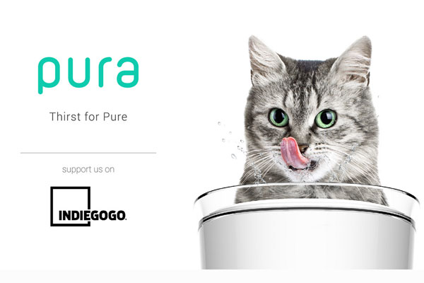 主子要 Pura 智能饮水器!猫奴们听命吧