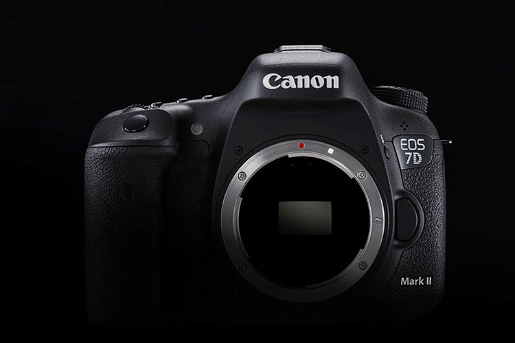【原生已有 C-Log】Canon 7D Mark III 传明年 
