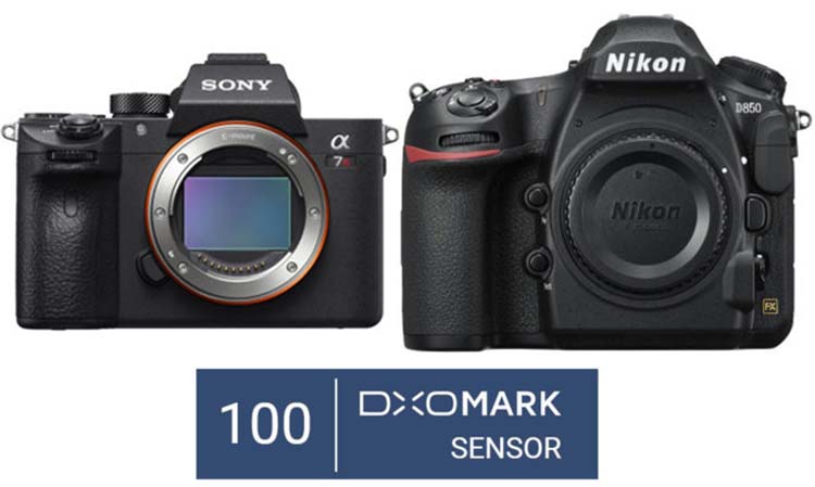 Sony A7R III 与 Nikon D850 并肩夺 100 分,并且