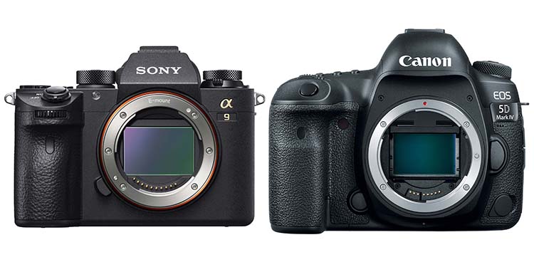 【外国摄影师实测】Sony A9 vs Canon 5D4,前