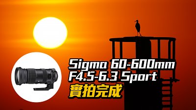 斤兩「十」足：Sigma 60-600mm Sports 實拍完成