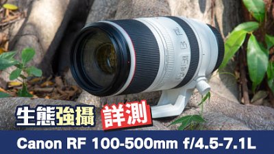 生態強攝，Canon RF 100-500mm f/4.5-7.1L IS USM 詳測