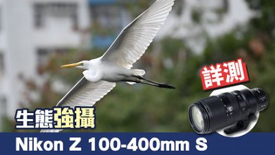 生態強攝，Nikon Z 100-400mm F4.5-5.6 VR S 詳測