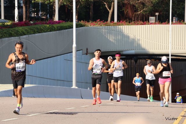 dcf-travel-img-52679