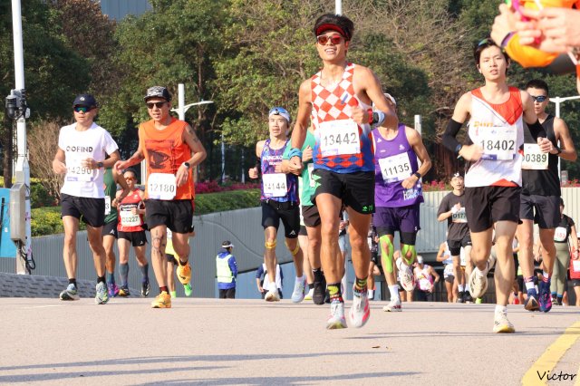 dcf-travel-img-52681