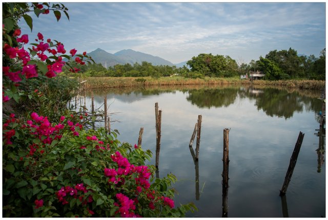 dcf-travel-img-52310