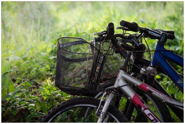 dcf-travel-img-52315