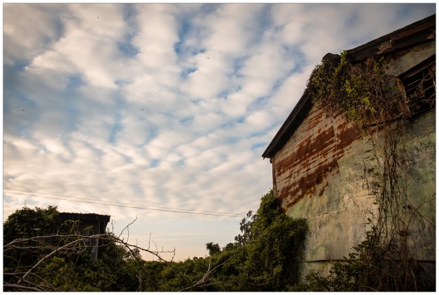 dcf-travel-img-52319