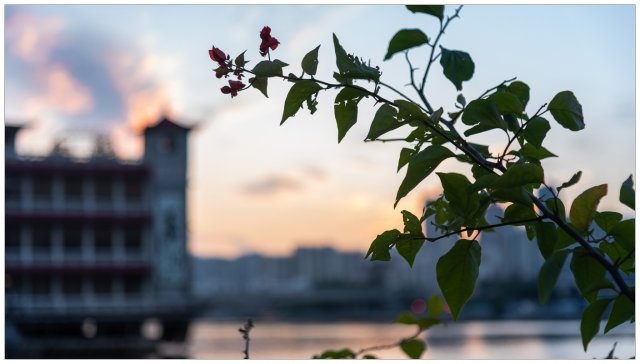 dcf-travel-img-52400