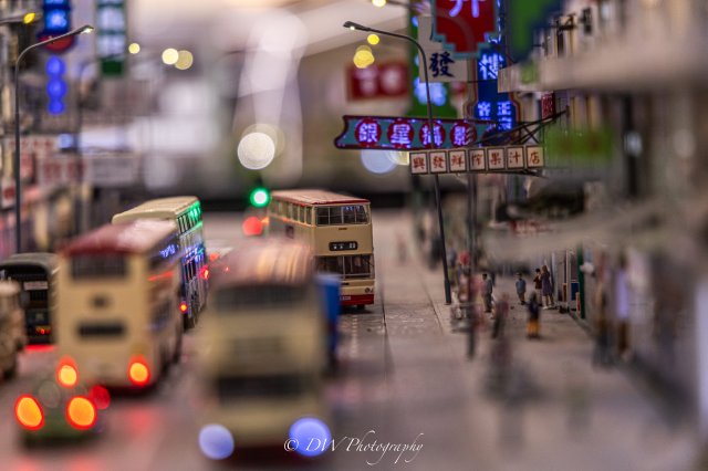 dcf-travel-img-48536