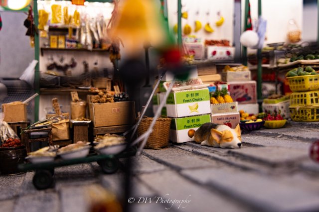 dcf-travel-img-48539