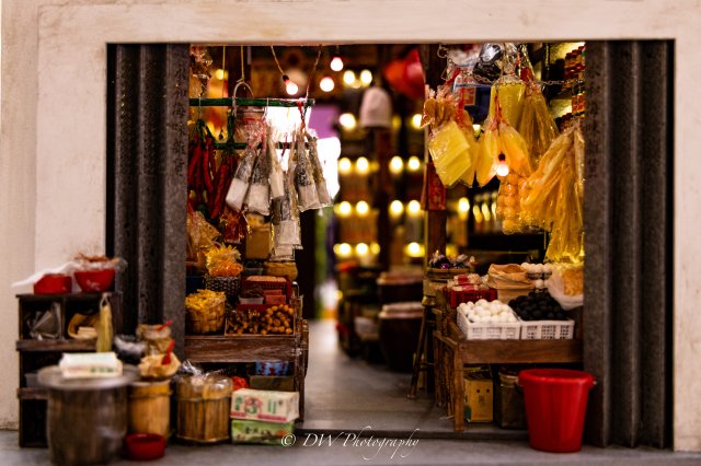dcf-travel-img-48541