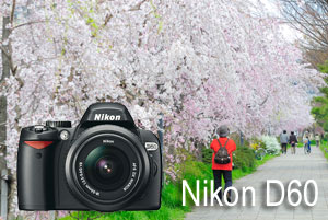 輕便隨身 Nikon D60
