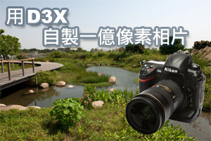用 D3X 自製一億像素相片