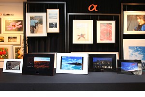 高質顯示：Sony 推出 5 款 S-Frame 數碼相架