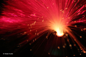 Lensbaby 聖誕光影傳情 e-card 設計比賽
