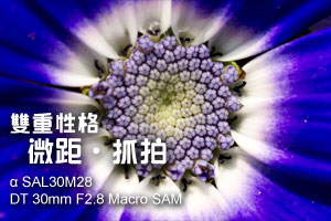 雙重性格 微距.抓拍 αSAL30M28