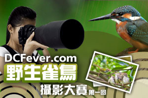 DCFever.com 野生雀鳥攝影大賽第一回現已展開