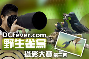 DCFever.com 野生雀鳥攝影大賽最終回