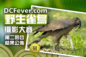 「DCFever.com 野生雀鳥攝影大賽」第二回合結果公佈