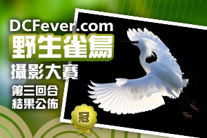 「DCFever.com 野生雀鳥攝影大賽」第三回合結果公佈﹗