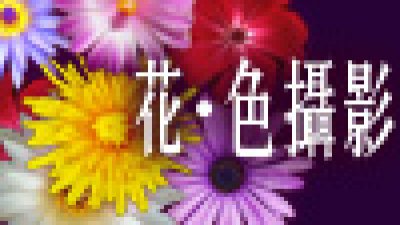 「花．色攝影」特輯：最新花攝配件、地點情報